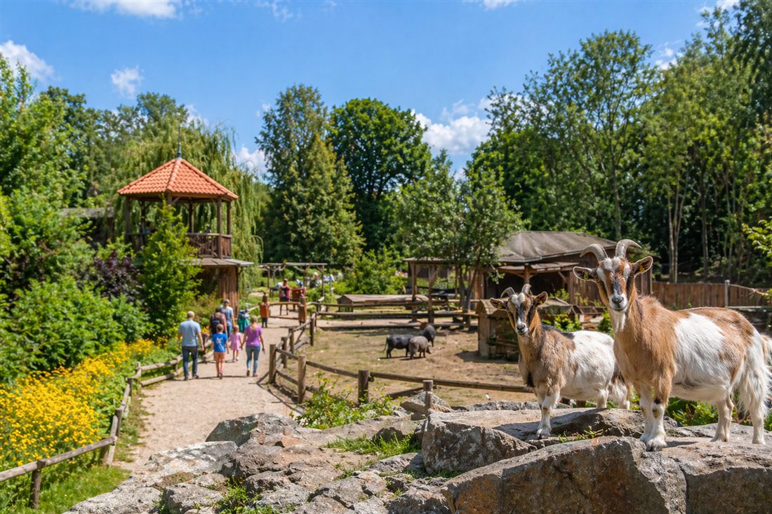 KI-generierte Ansicht eines familienfreundlichen Tierparks bei Wismar